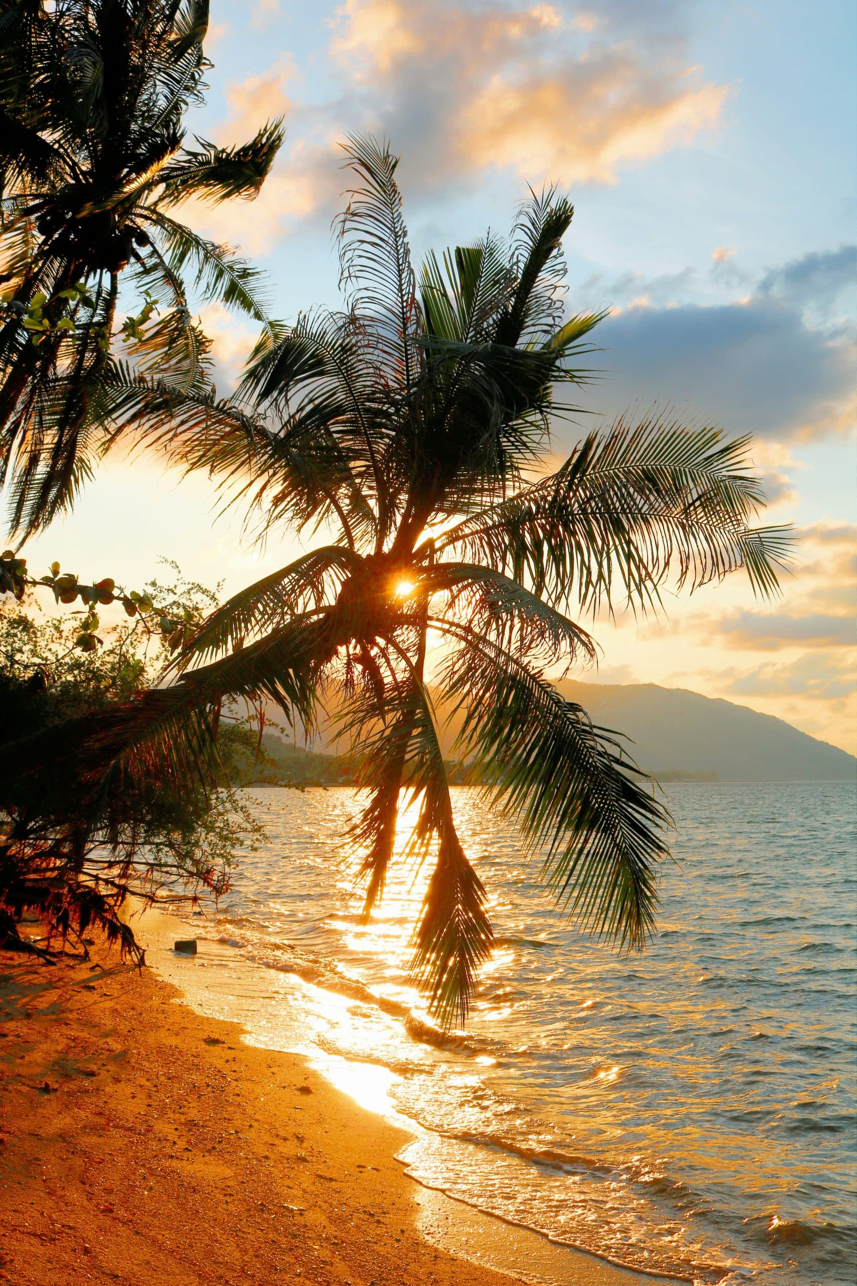discover-cover-Experience the Vibrant Culture of Koh Phangan